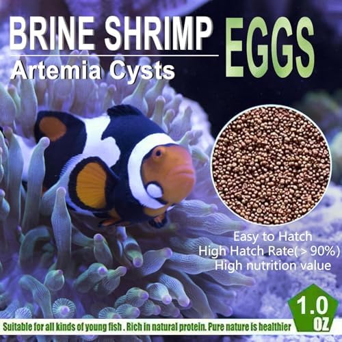 Brine Shrimp Eggs 0.5 oz U6655
