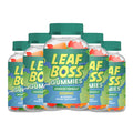 Hemp Gummy 5 Pack 300 Gummies X667