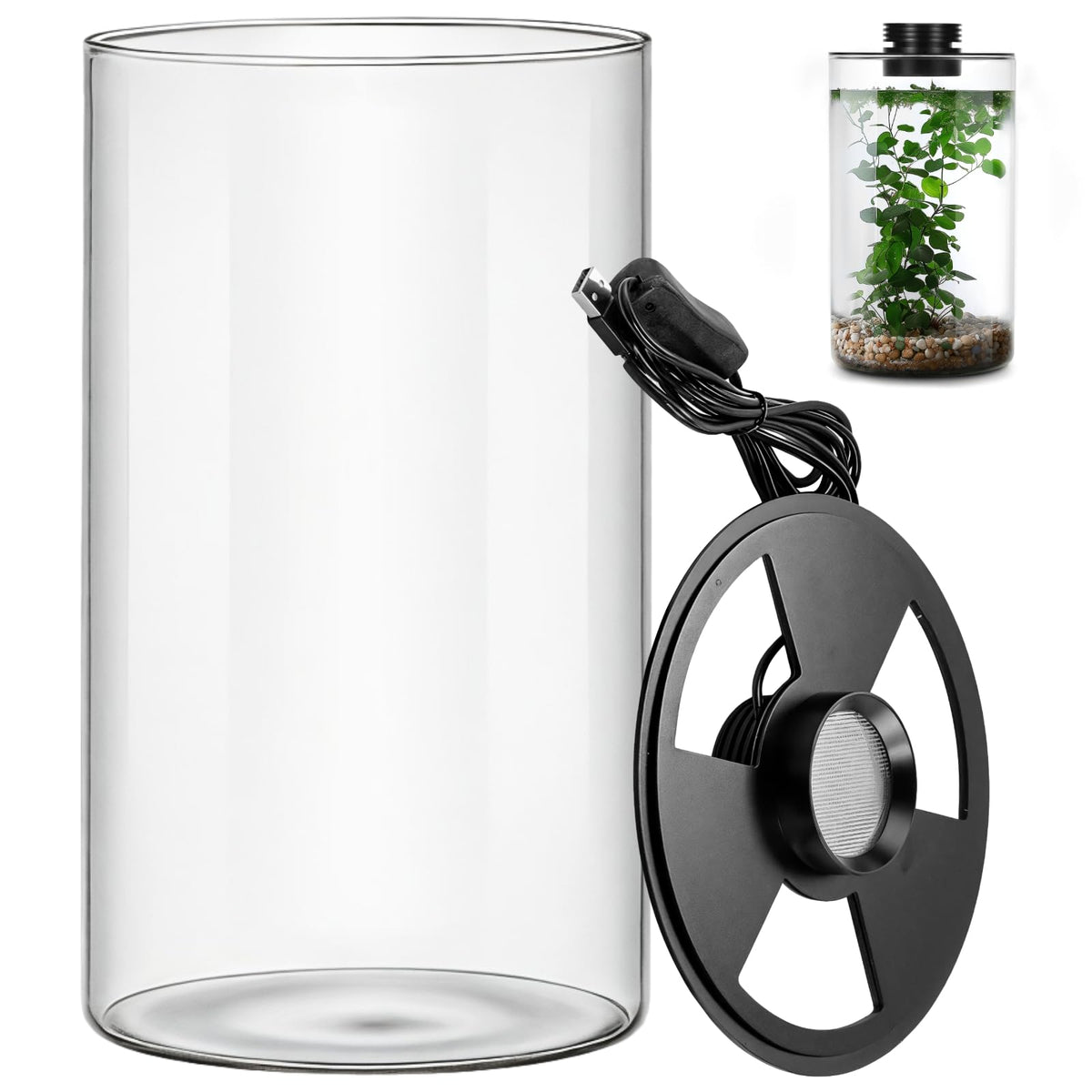 Glass Plant Terrarium with Grow Light 10 X 6IN I421
