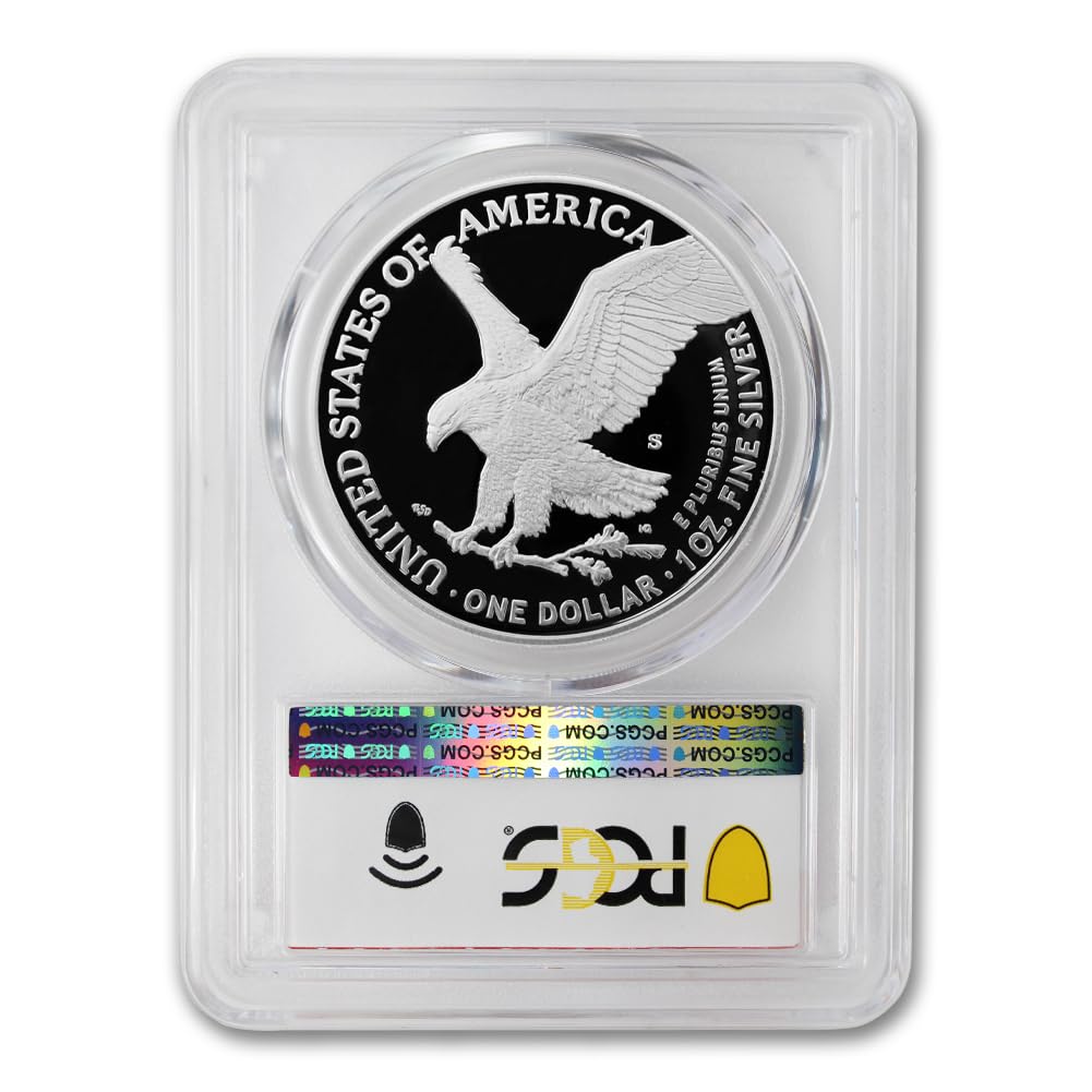 1 oz American Silver Eagle Coin N75376