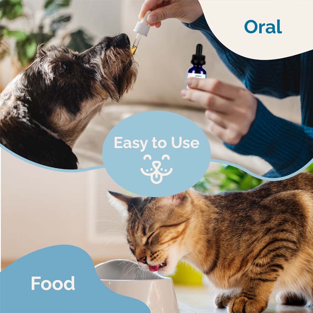 Liver Supplement for Dogs & Cats Herbal Formula S38317