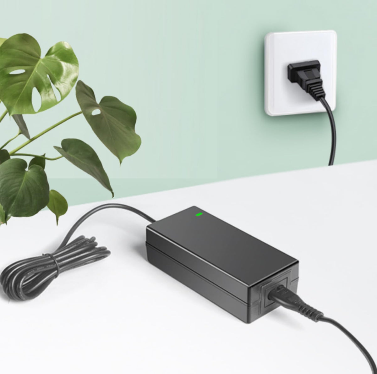 42V AC/DC Charger Y863