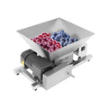 60W Stainless Steel 4L Fruit Crusher W299303