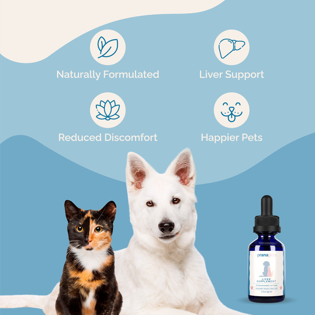 Liver Supplement for Dogs & Cats Herbal Formula S38317