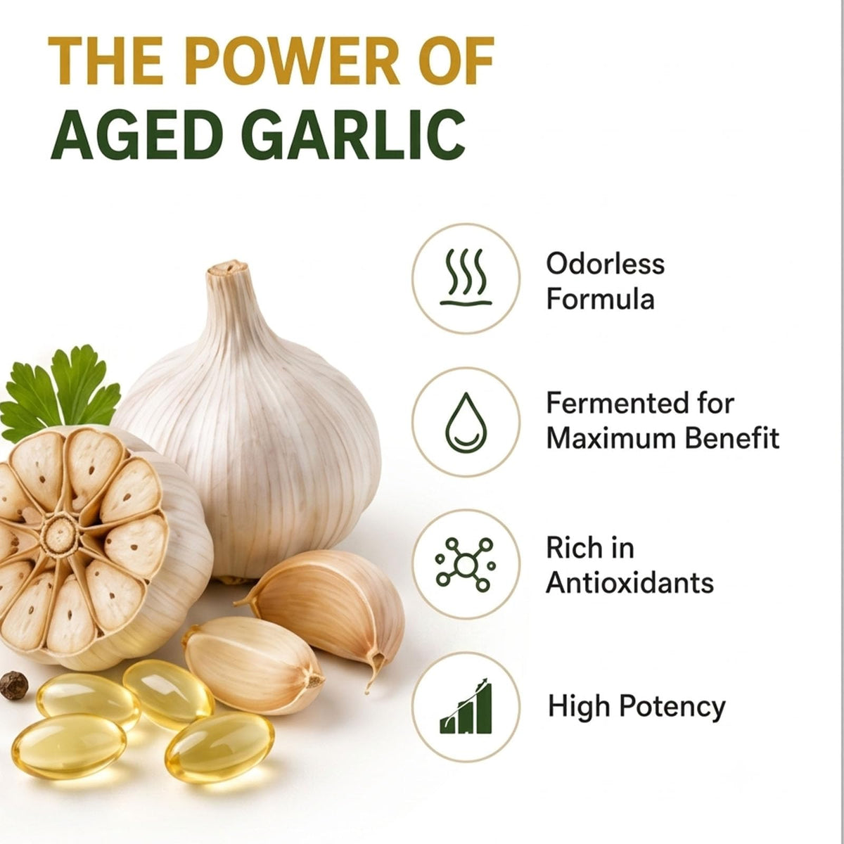 Odorless Aged Garlic Extract Supplement, 300 Softgels E6303