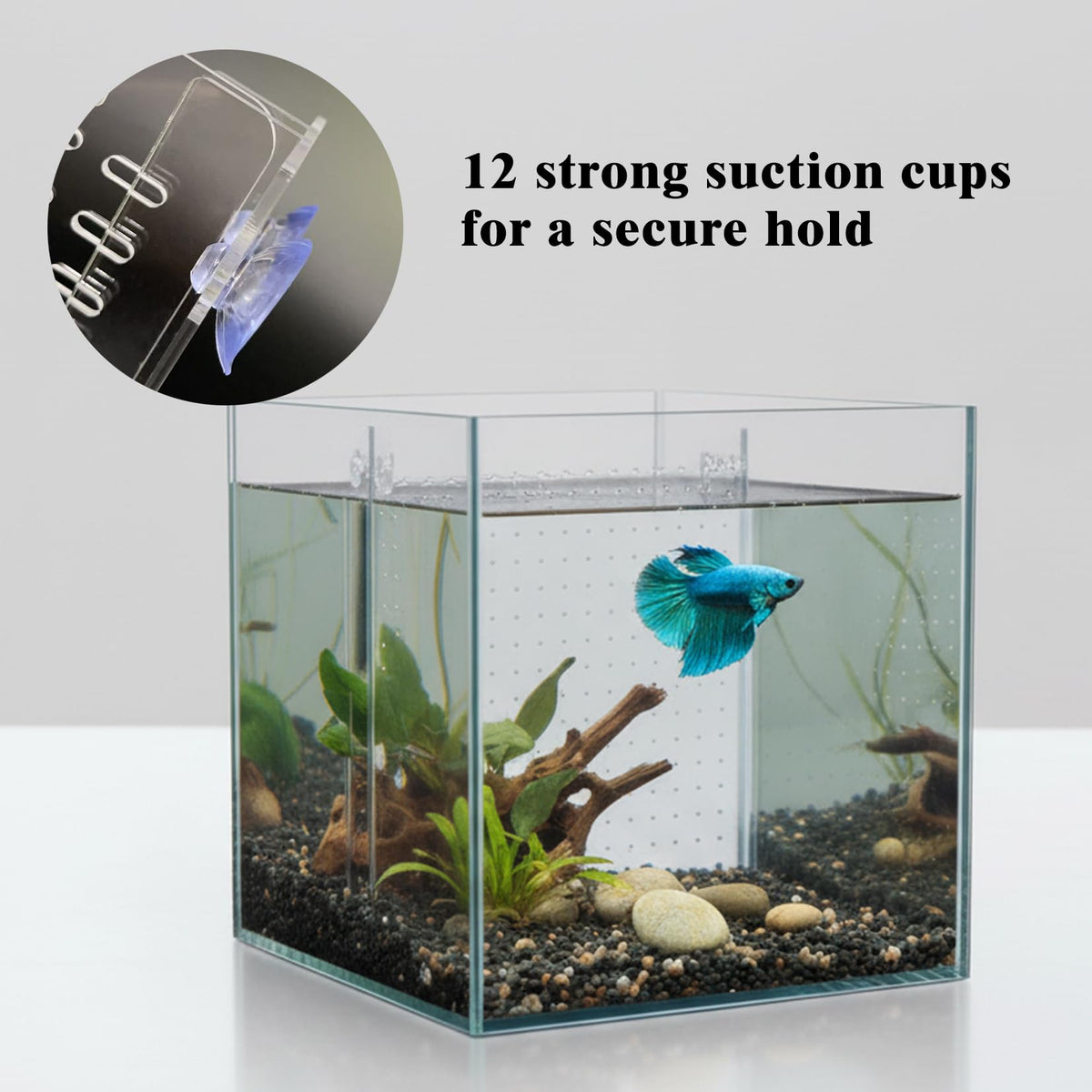 Acrylic Aquarium Divider with Suction Cups C356458