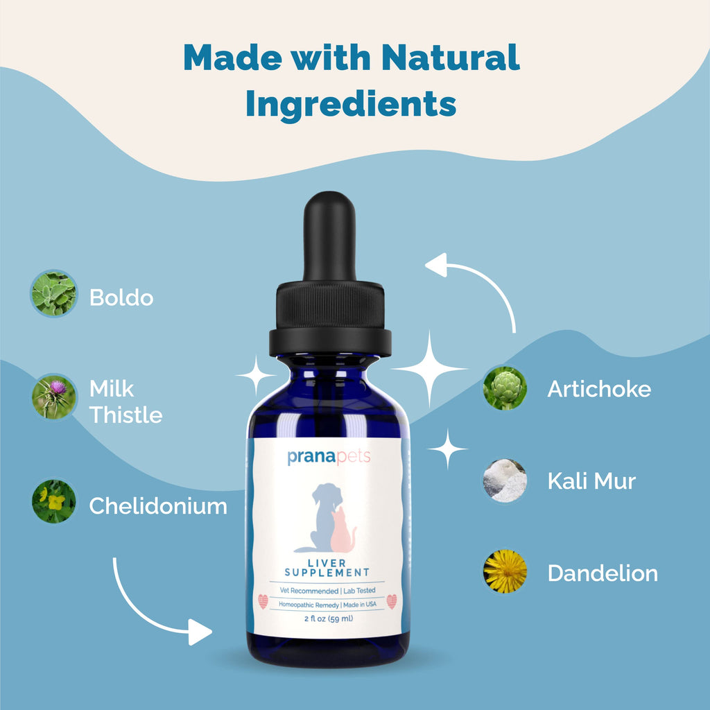 Liver Supplement for Dogs & Cats Herbal Formula S38317