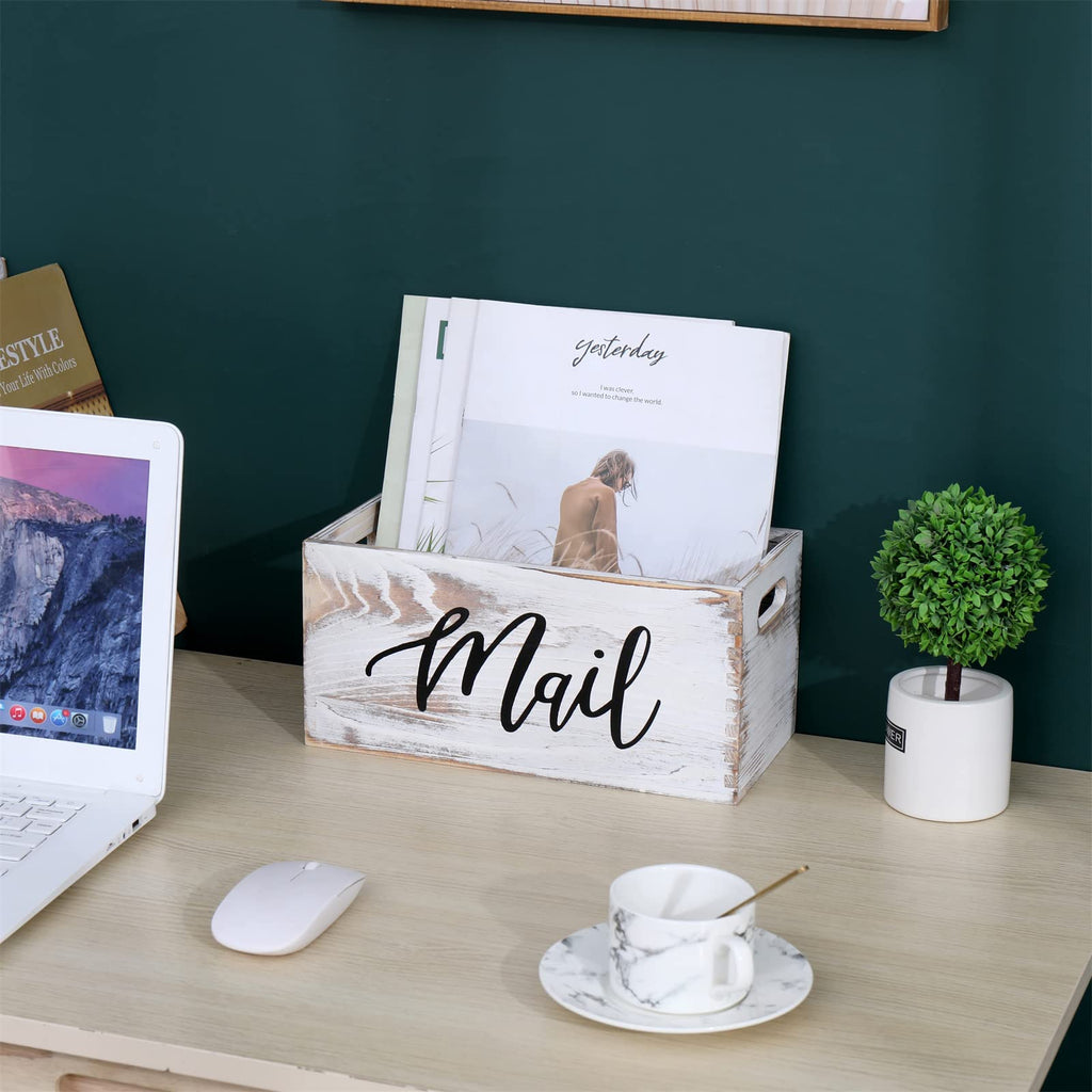 White Mail Organizer V9313