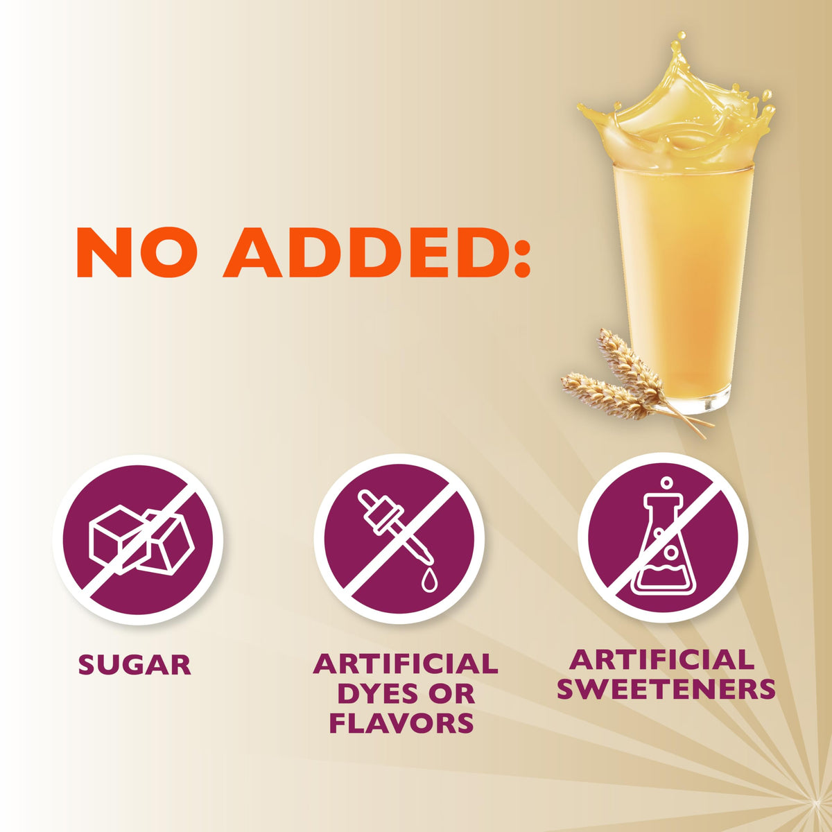 Sugar-Free Psyllium Husk Fiber Powder Z974
