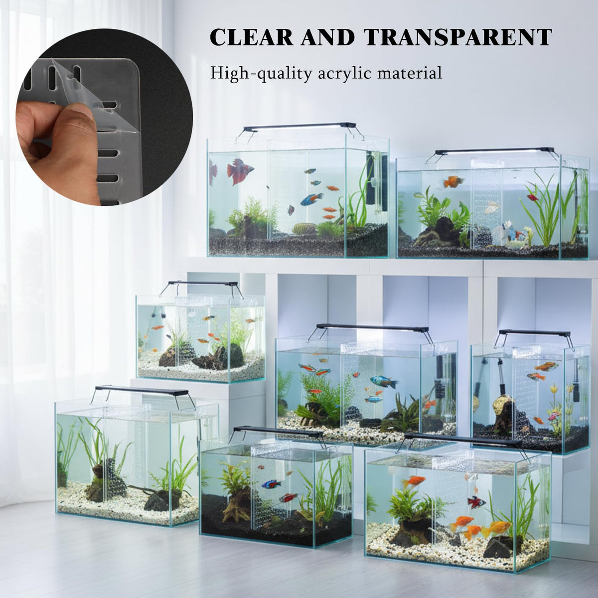 Acrylic Aquarium Divider with Suction Cups C356458