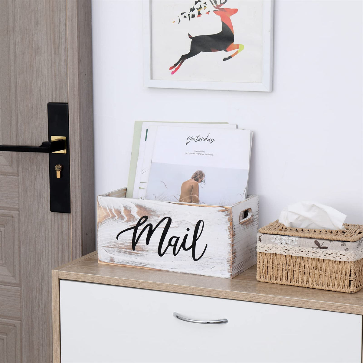 White Mail Organizer V9313