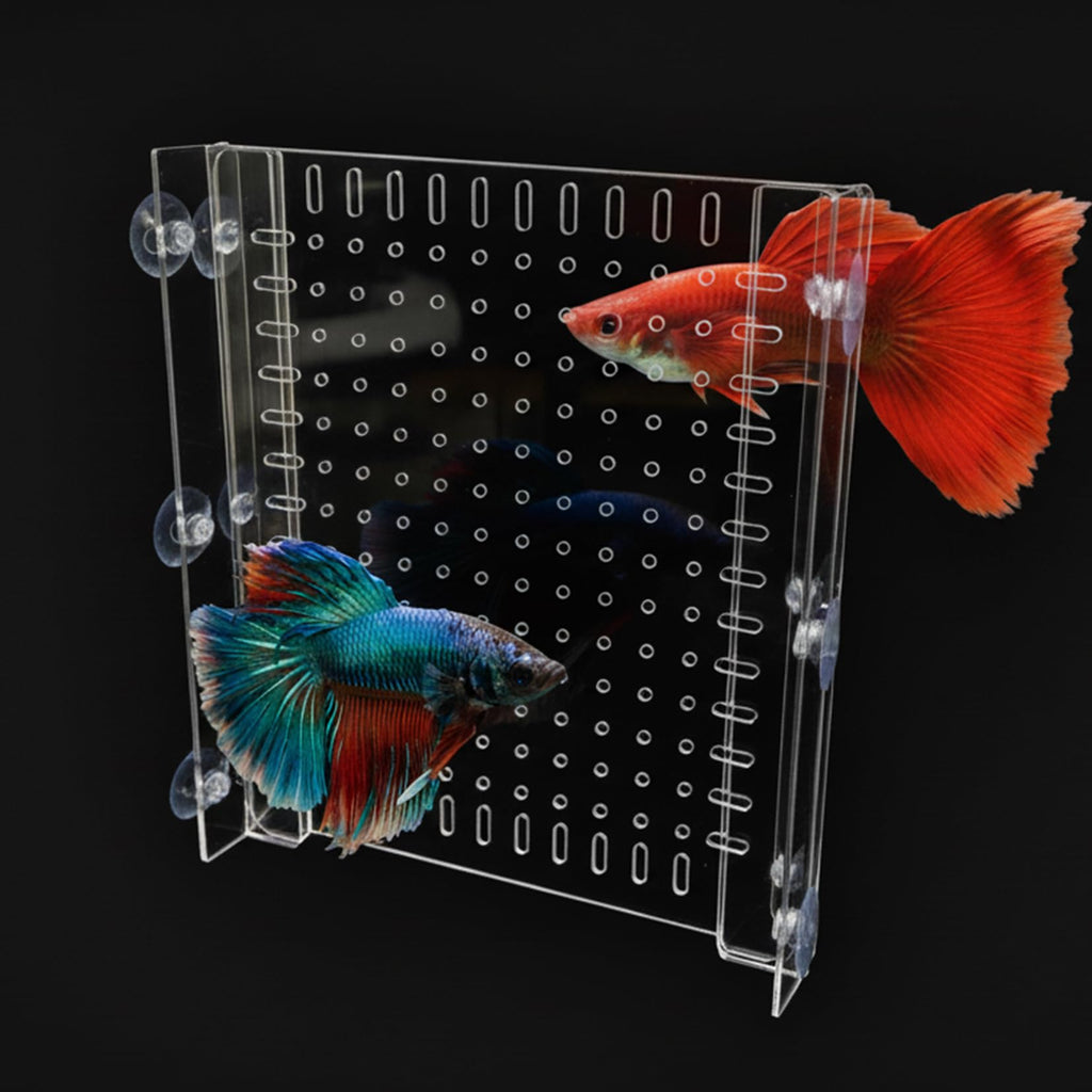 Acrylic Aquarium Divider with Suction Cups C356458