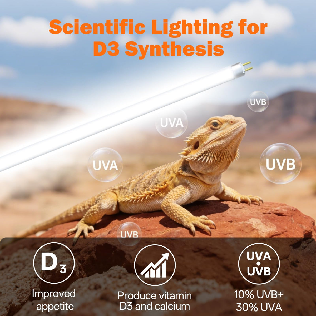24W 22'' UVB Reptile Light Fixture Combo Kit I187203