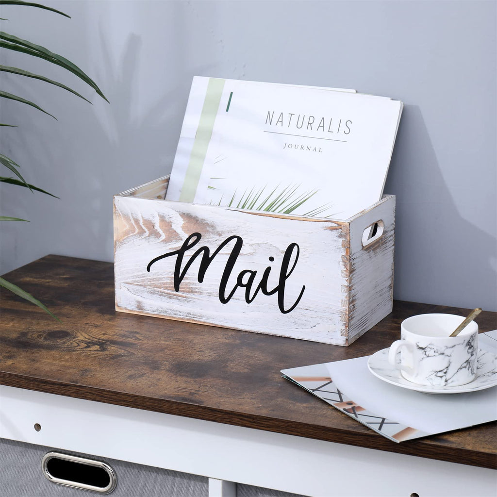 White Mail Organizer V9313