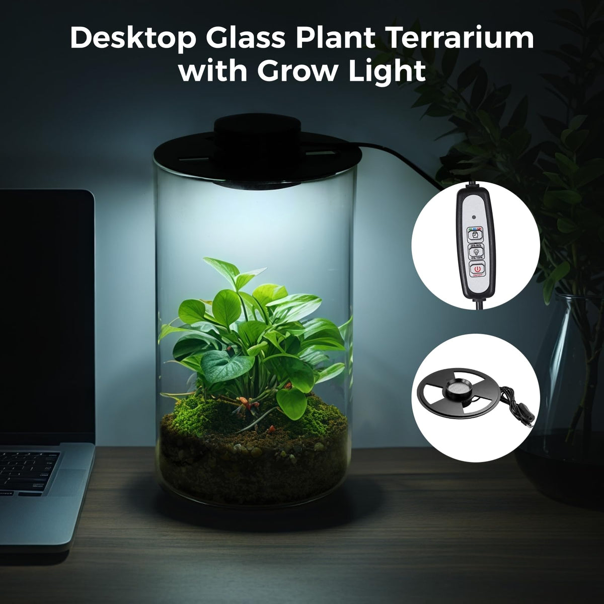 Glass Plant Terrarium with Grow Light 10 X 6IN I421
