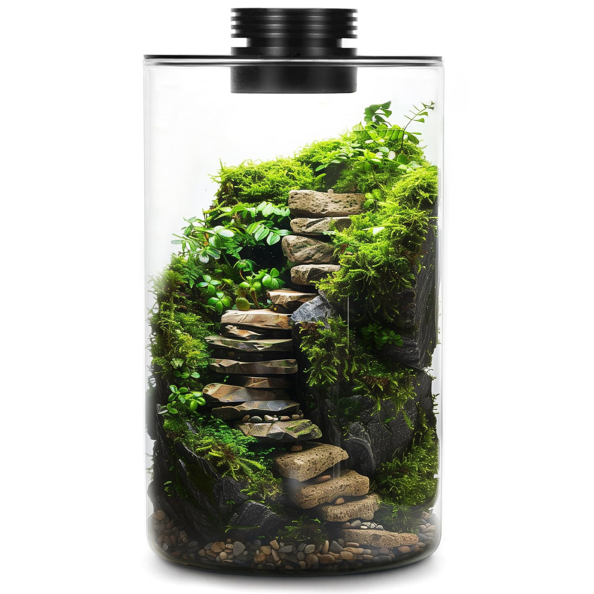 Glass Plant Terrarium with Grow Light 10 X 6IN I421