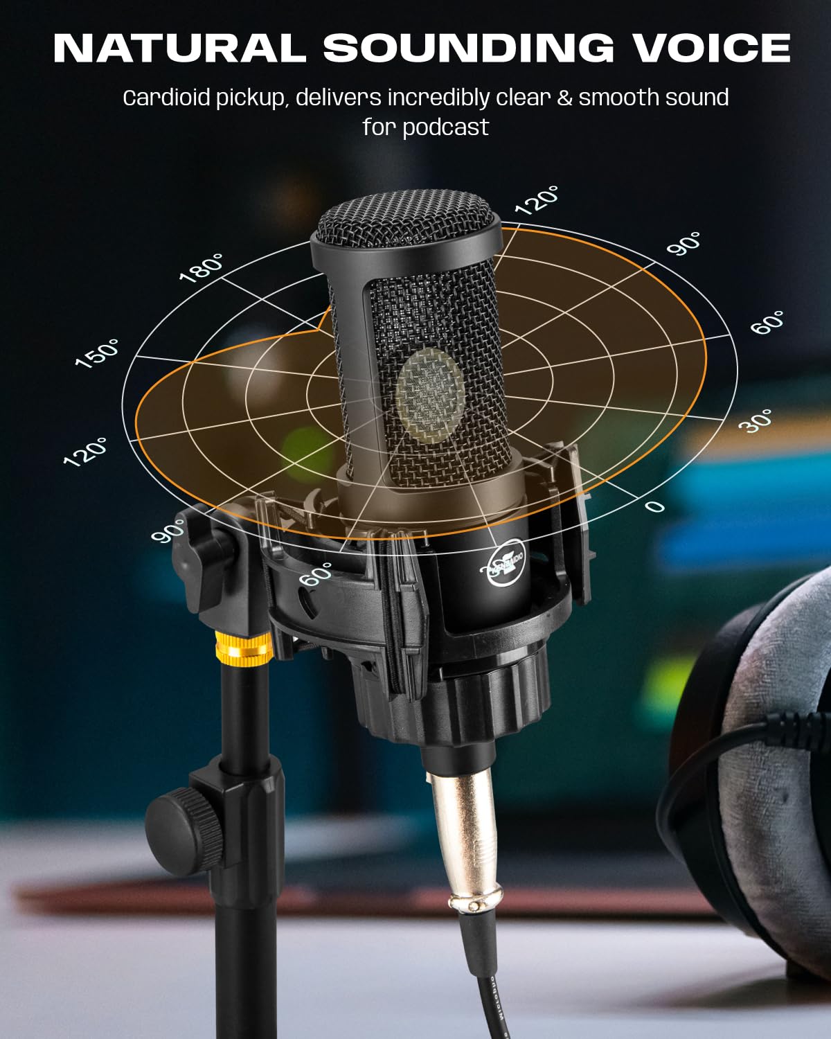 XLR Condenser Microphone with 26mm Large Diaphragm Cardioid Recording Studio Mic Kit W21032