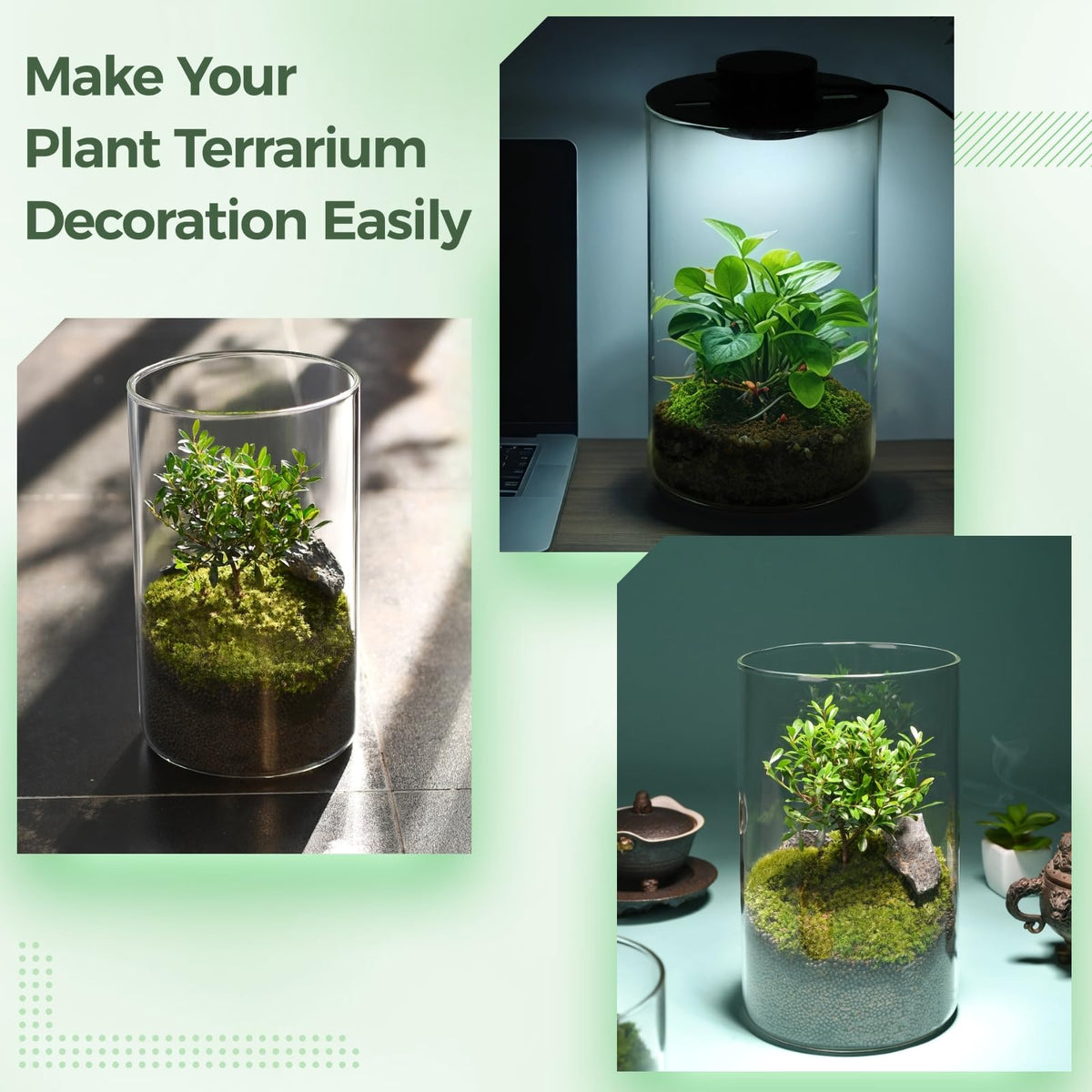 Glass Plant Terrarium with Grow Light 10 X 6IN I421