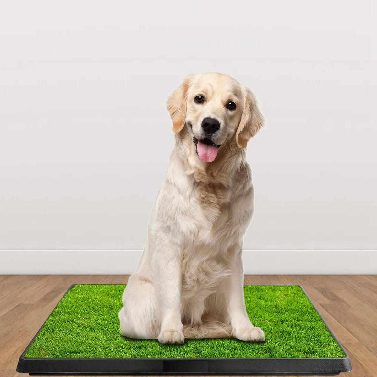 Artificial Grass Dog Potty Mat with Removable Waste Tray V687097