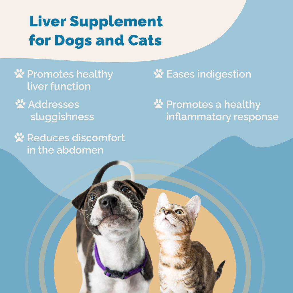 Liver Supplement for Dogs & Cats Herbal Formula S38317