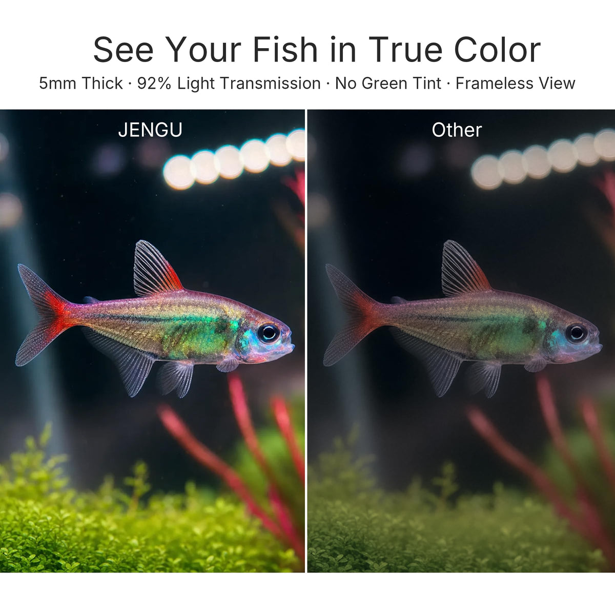 2.1 Gal Betta Fish Tank Y93105