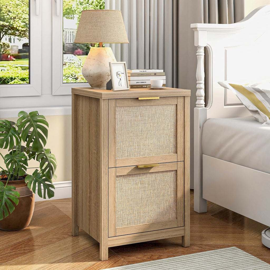2-Drawer Rattan File Cabinet X7842