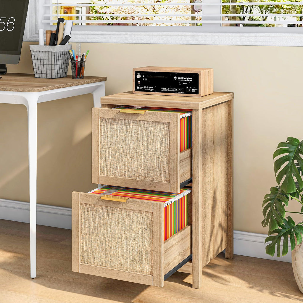 2-Drawer Rattan File Cabinet X7842