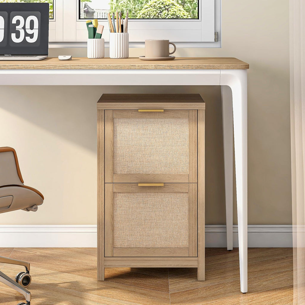 2-Drawer Rattan File Cabinet X7842