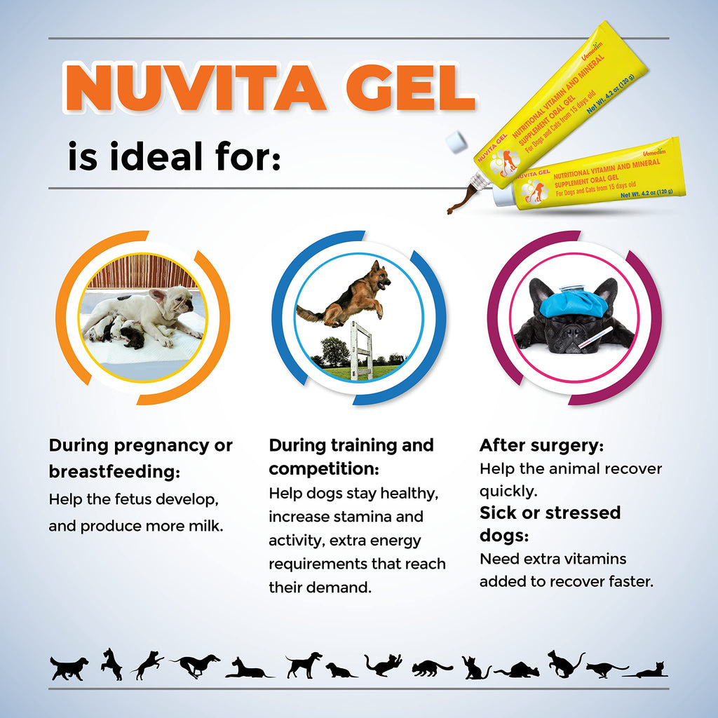 Nutritional Vitamin Gel for Dogs and Cats 4.2 oz E583400