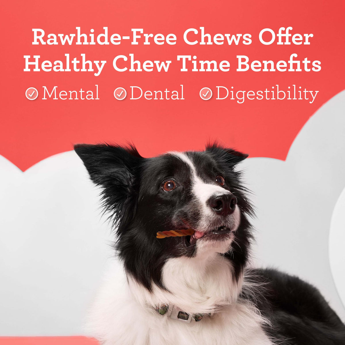 Rawhide-Free Dog Treats with Real Protein, 25 Count V837022
