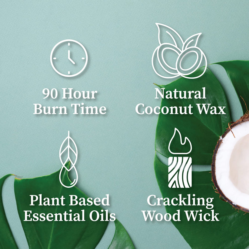 Wood Wick Candle 16 oz K287200