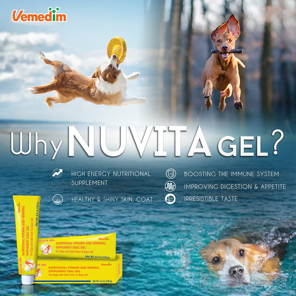 Nutritional Vitamin Gel for Dogs and Cats 4.2 oz E583400