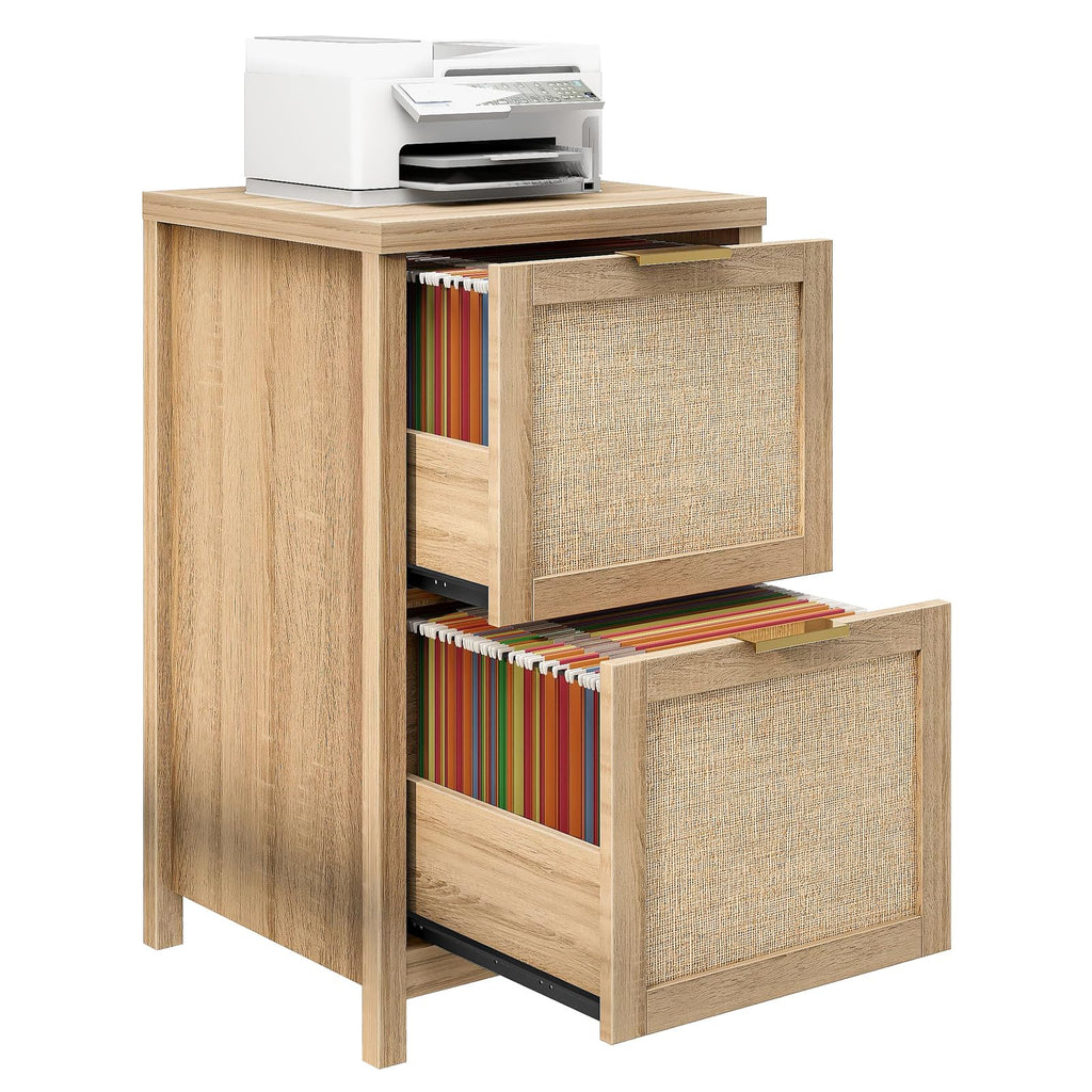 2-Drawer Rattan File Cabinet X7842