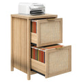 2-Drawer Rattan File Cabinet X7842