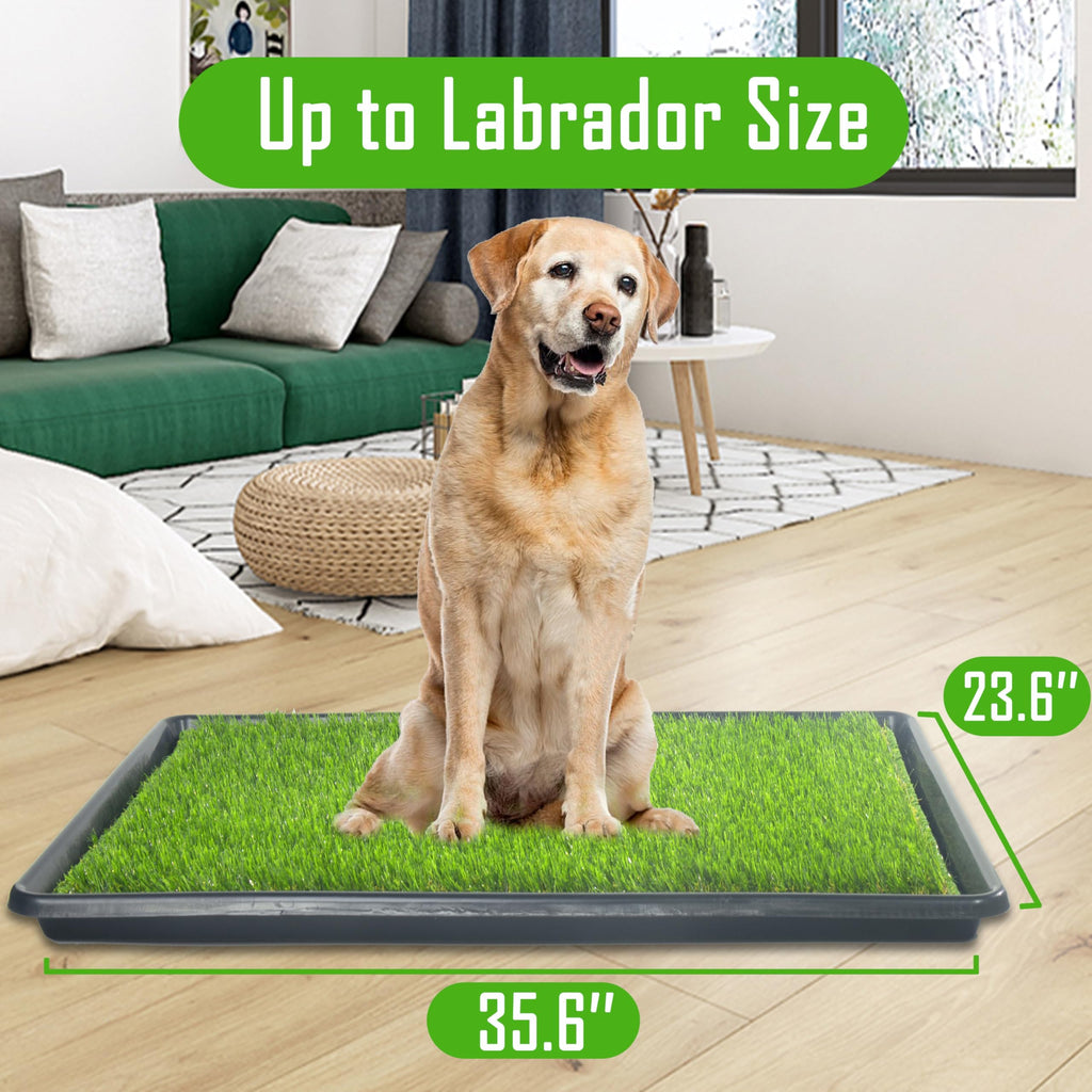 Reusable Dog Loo System with Artificial Grass Turf, Tray, 35x23in G441