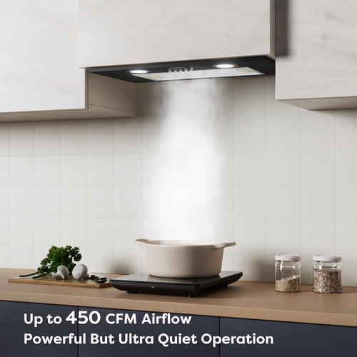 20 inch 650 CFM Black Insert Range Hood D509152