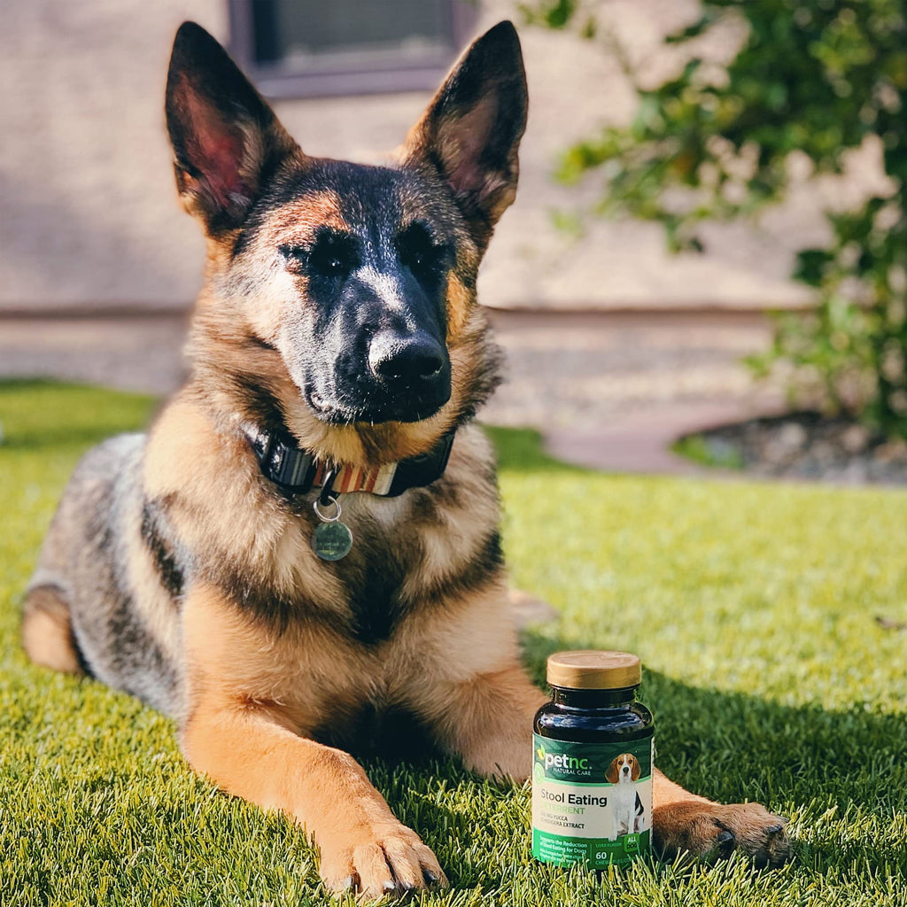 Stool Eating Deterrent Chewables for Dogs, 60 Count H64344