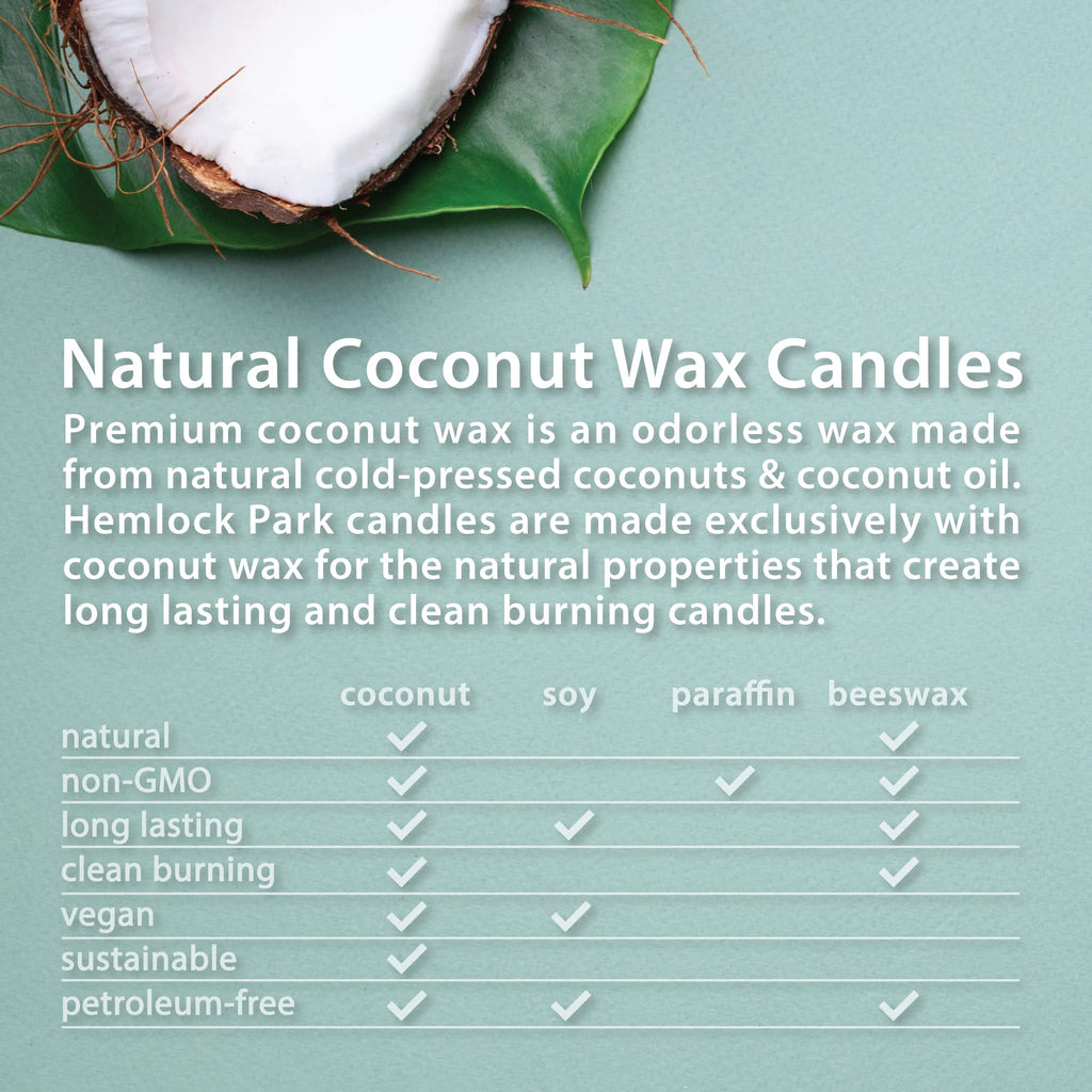 Wood Wick Candle 16 oz K287200
